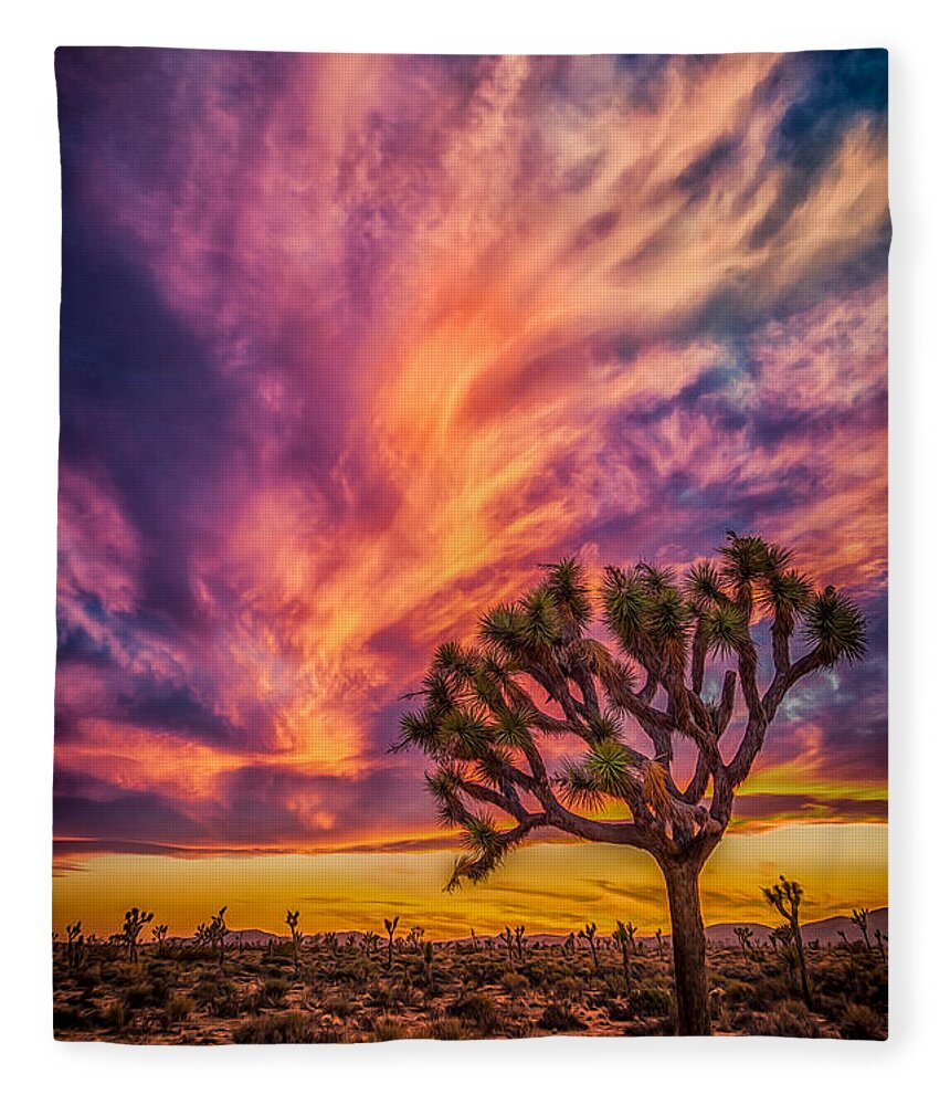 Joshua Tree Fleece Blanket featuring the photograph Joshua Tree in the Glowing Swirls by Rikk Flohr