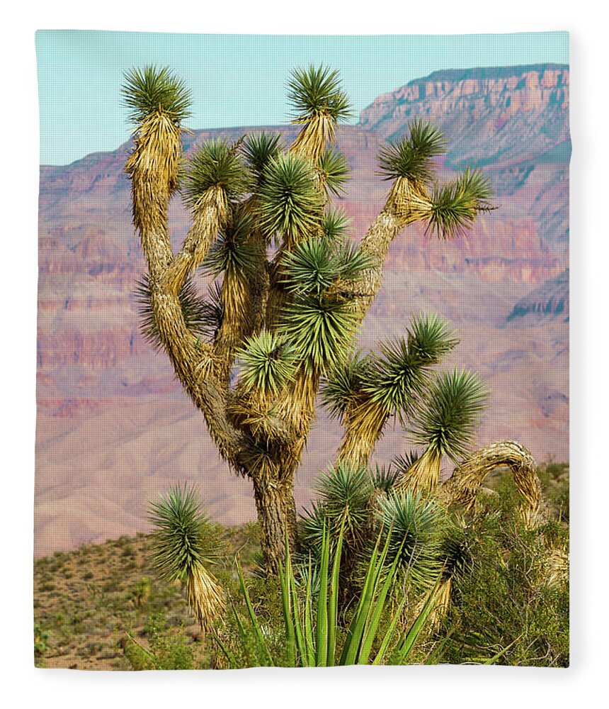 Joshua Tree Of The Desert Fleece Blanket featuring the photograph Joshua Tree of the Desert by Bonnie Follett