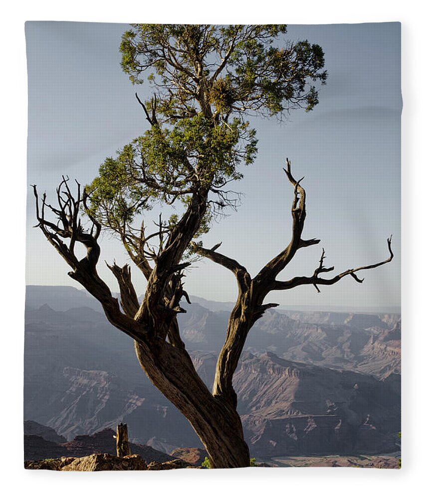 Juniper Fleece Blanket featuring the photograph Juniper Tree at Grand Canyon II by David Gordon