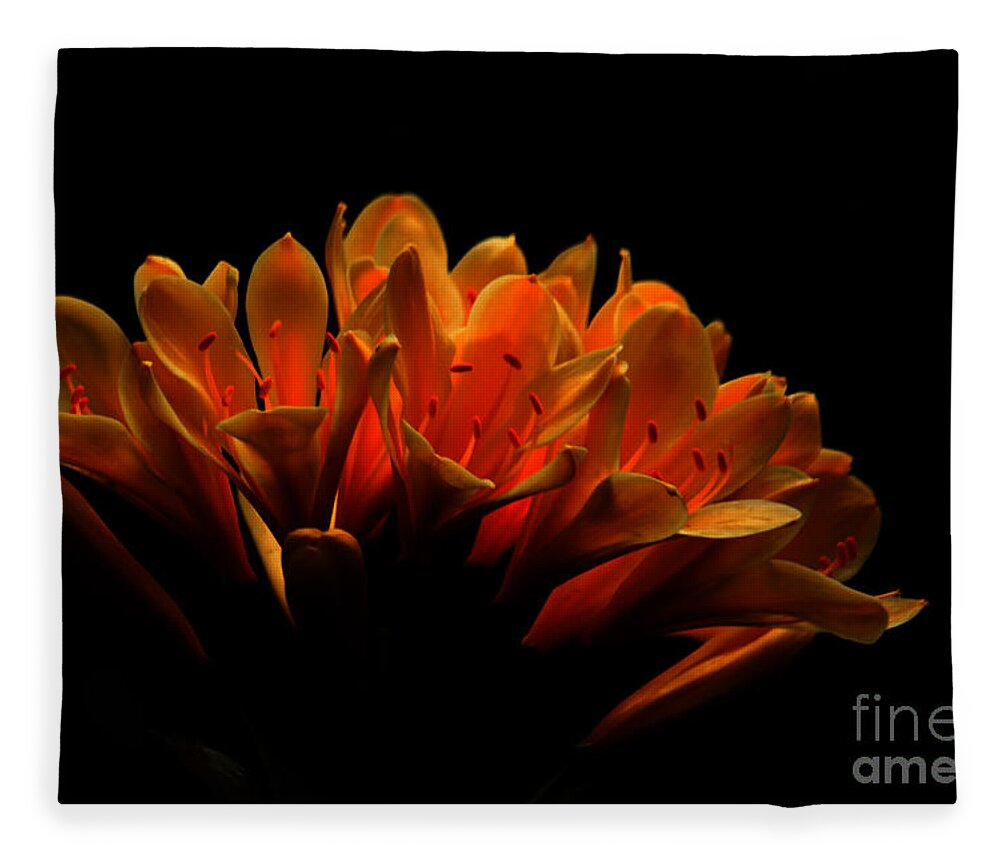 Floral Fleece Blanket featuring the photograph Kaffir Lily by James Eddy