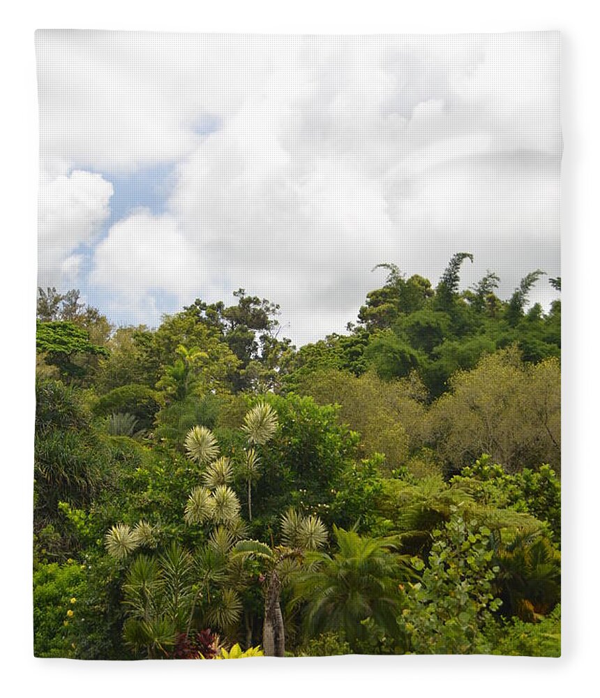 Kauai Fleece Blanket featuring the photograph Kauai Hindu Monastery Greenery by Amy Fose