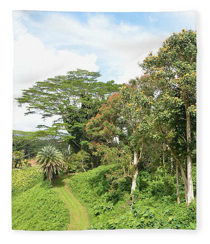 Kauai Fleece Blanket featuring the photograph Kauai Hindu Monastery Trail 2 by Amy Fose