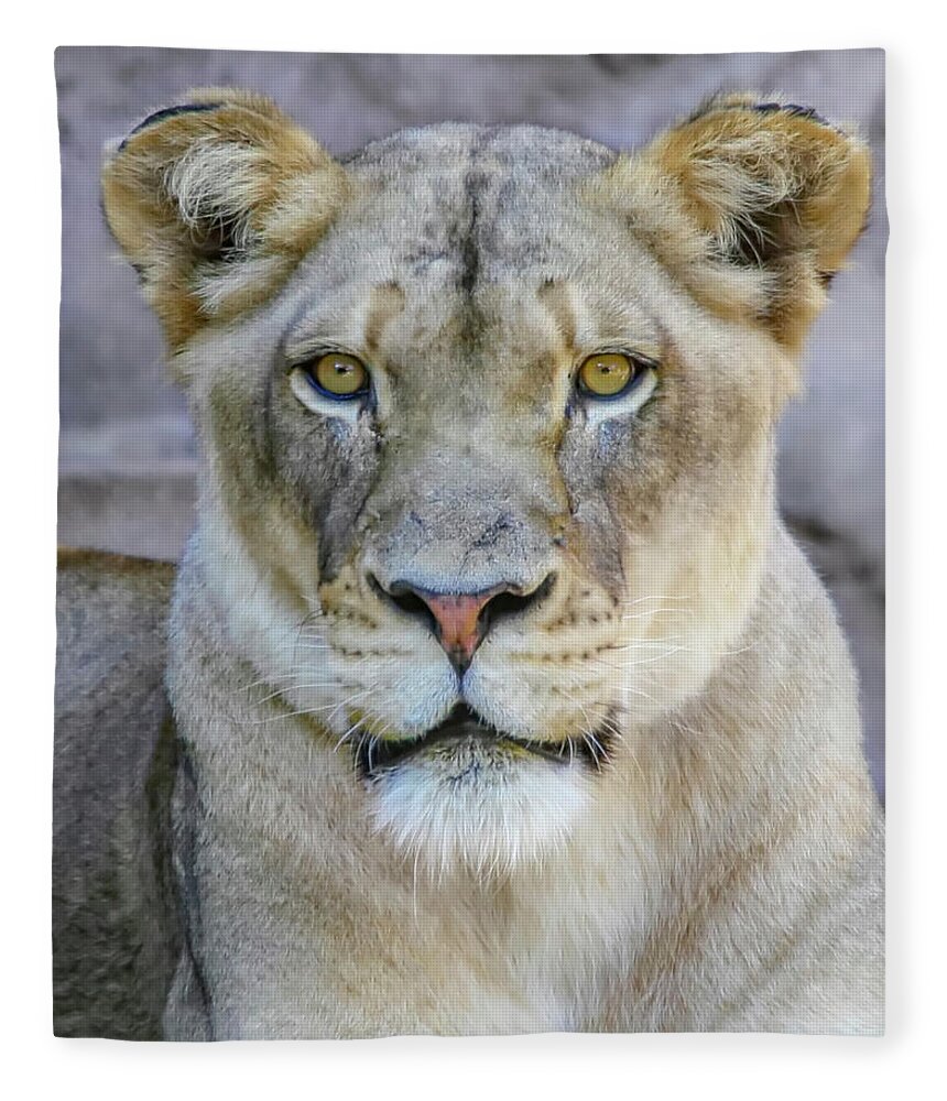 Lions Fleece Blanket featuring the photograph Kaya Portrait by Elaine Malott