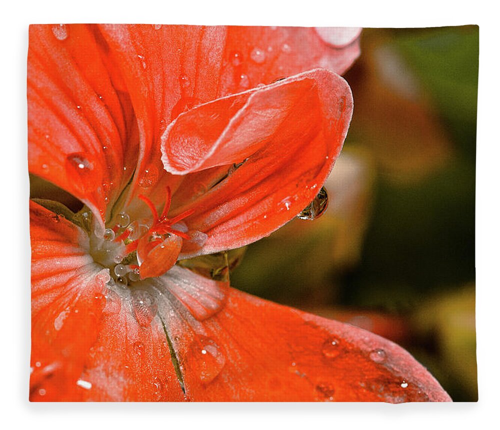 Flower Fleece Blanket featuring the photograph Kissed By The Rain by Christopher Holmes