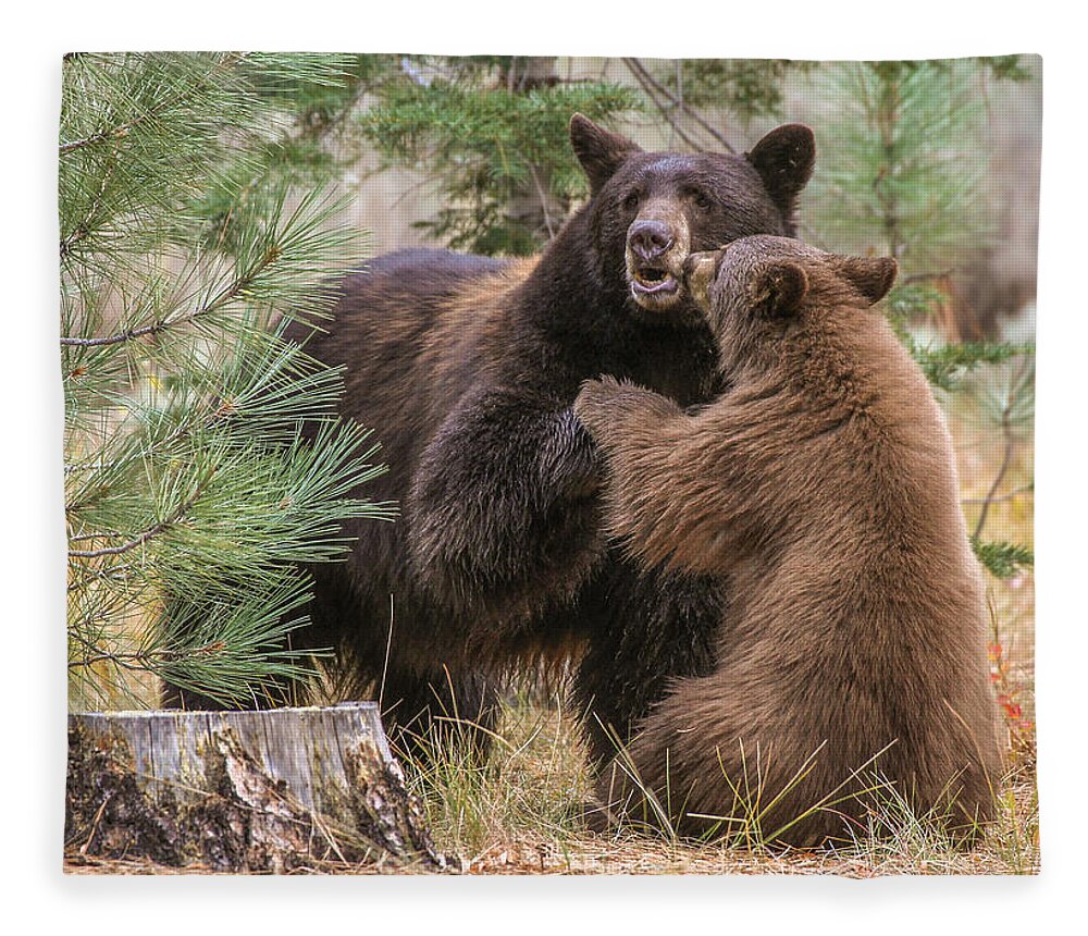 Lake Tahoe Fleece Blanket featuring the photograph Kissing bears by John T Humphrey