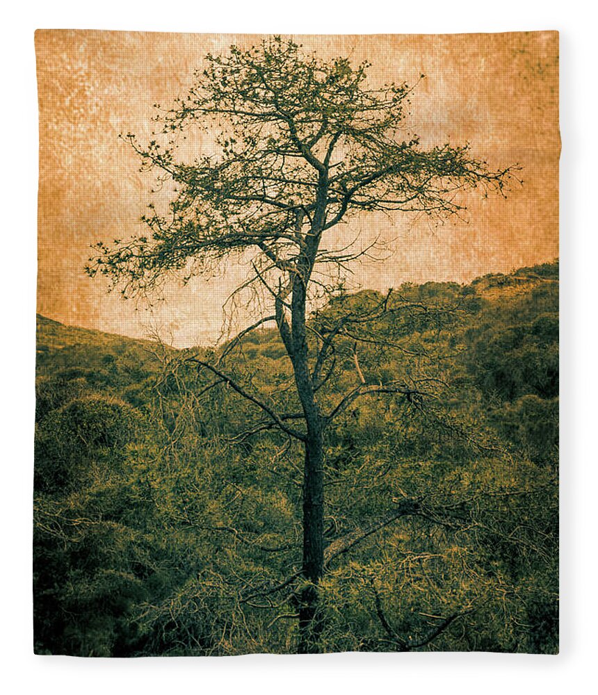 Single Fleece Blanket featuring the photograph Knarly Tree by Stevie Benintende