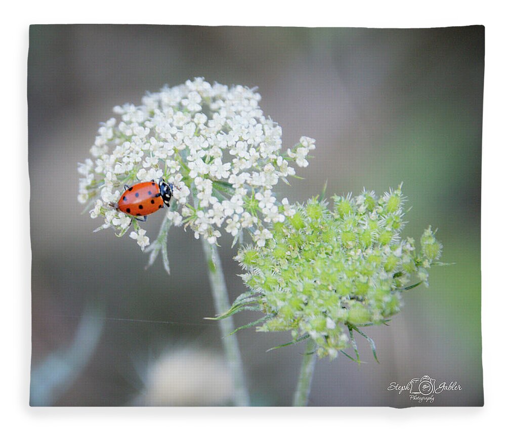 Ladybug Fleece Blanket featuring the photograph Lady on the Lace II by Steph Gabler