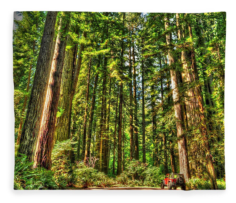 Photograph Fleece Blanket featuring the photograph Land of the Giants by Richard Gehlbach