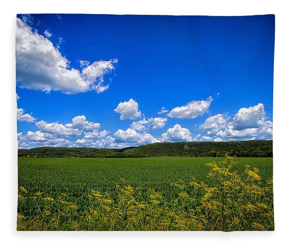 Field Fleece Blanket featuring the photograph Lanesboro Fields by Bill and Linda Tiepelman