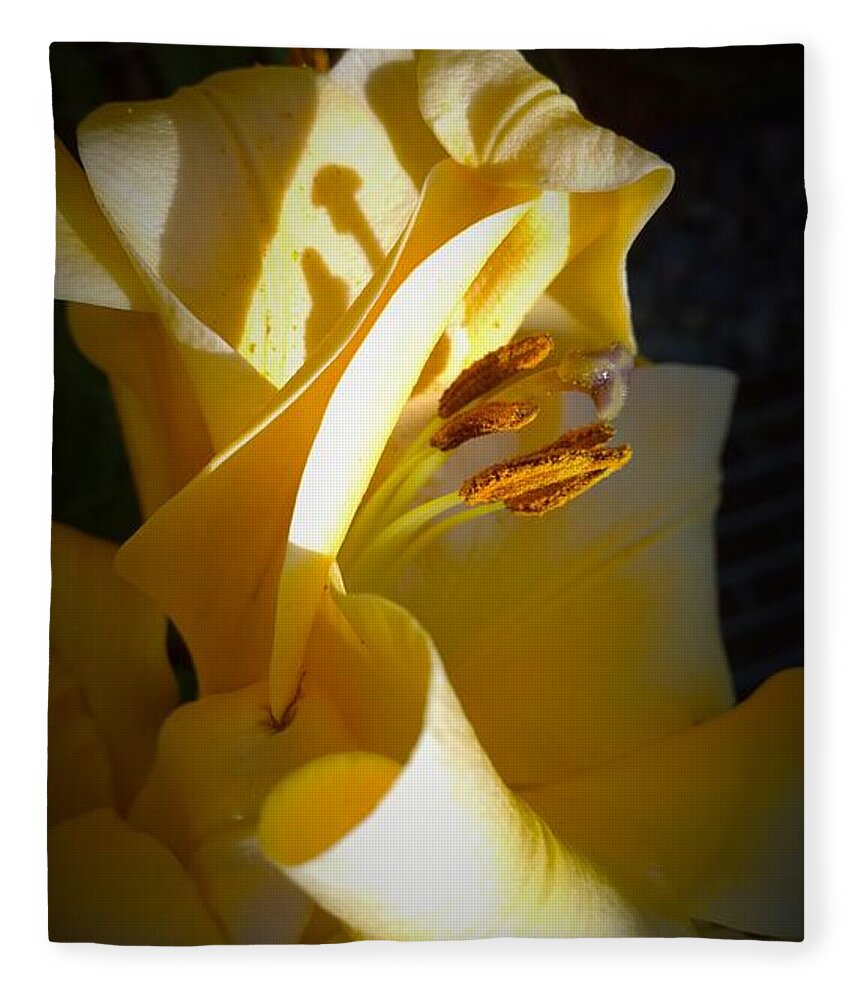 Photograph Fleece Blanket featuring the photograph Large Yellow Amaryllis by Delynn Addams