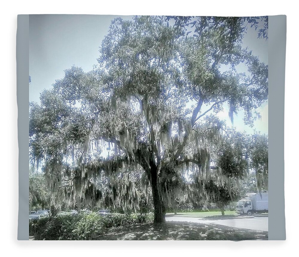 Tree. Florida Fleece Blanket featuring the photograph Largo's Spanish Moss by Suzanne Berthier