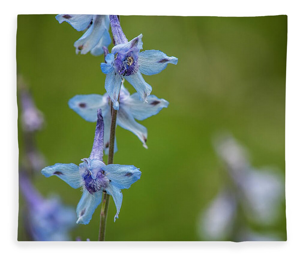 Flowers Fleece Blanket featuring the photograph Larkspur on the Roadside by Robert Potts