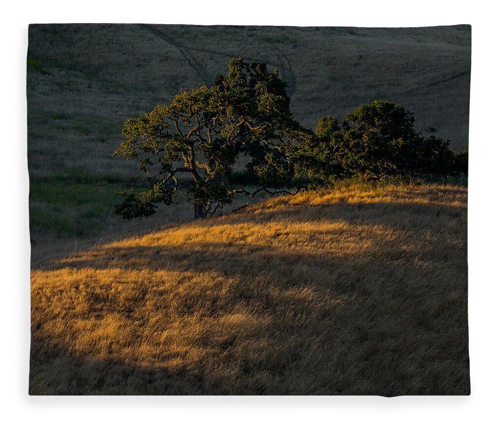 Hillside Fleece Blanket featuring the photograph Last Light on the Hillside by Derek Dean