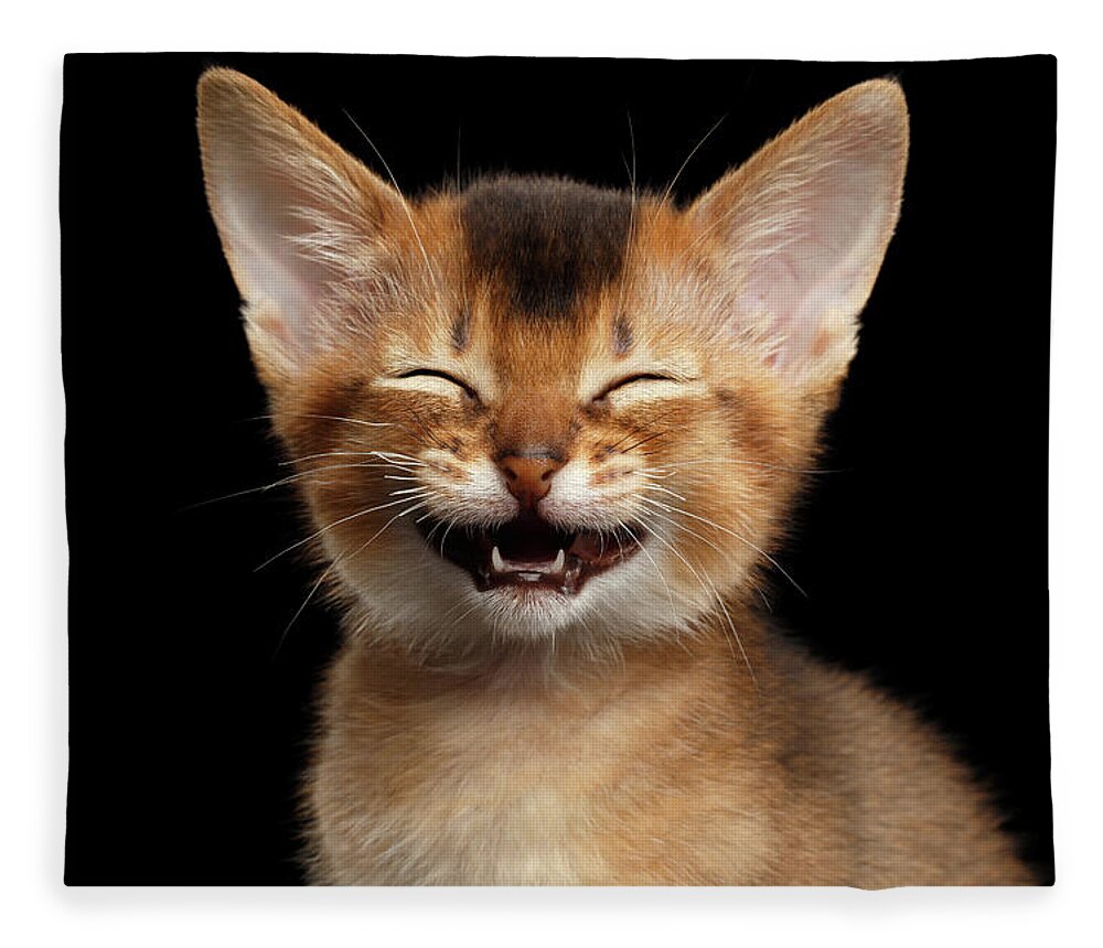 Kitten Fleece Blanket featuring the photograph Laughing Kitten by Sergey Taran