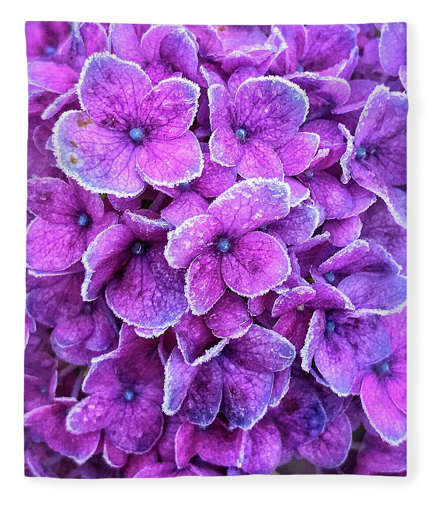 Delphinium Fleece Blanket featuring the photograph Lavender Ice by Jill Love