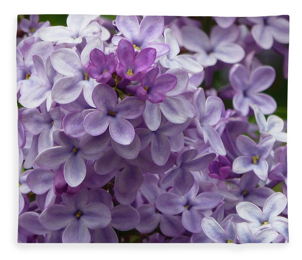 North Dakota Fleece Blanket featuring the photograph Lavender Lilacs by Cris Fulton
