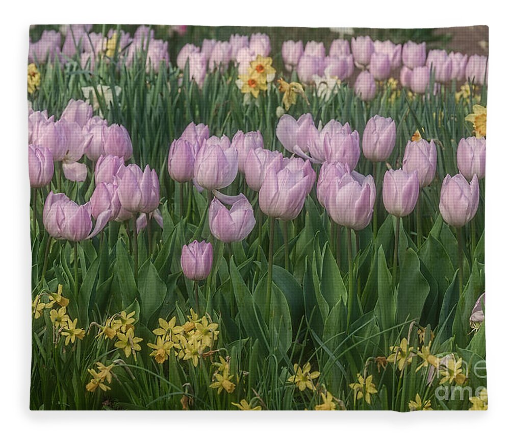 Lavender Fleece Blanket featuring the photograph Lavender Tulips by Elaine Teague