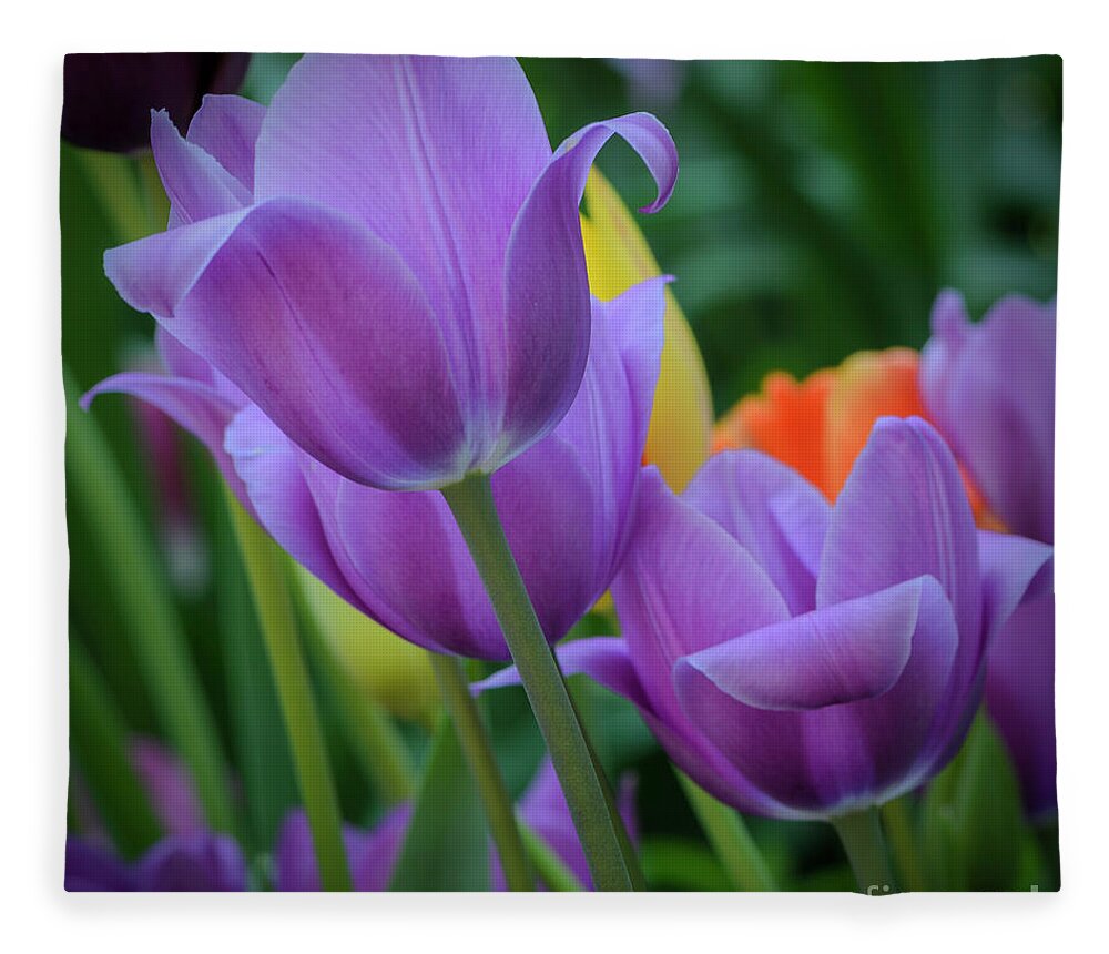 Tulips Fleece Blanket featuring the photograph Lavender Tulips by Tamara Becker