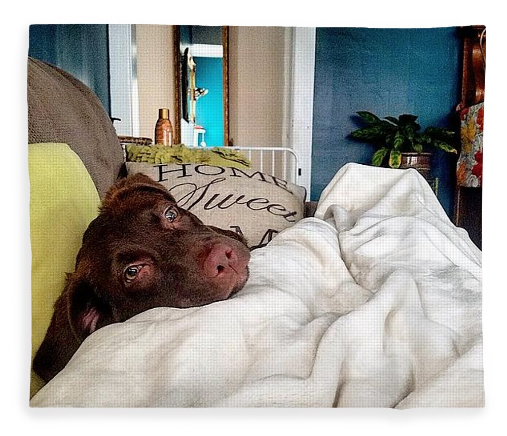 Pup Fleece Blanket featuring the photograph Lazy Puppy by Adam Milsted