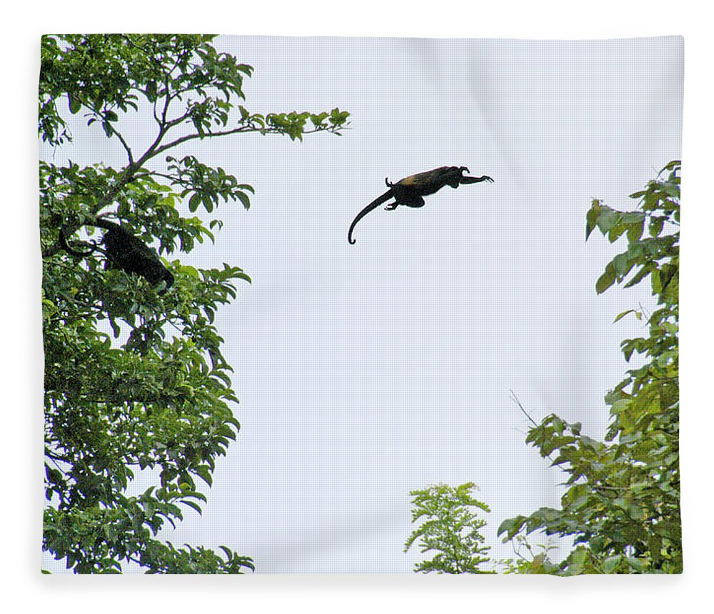 Monkey Fleece Blanket featuring the photograph Leaping Monkey by Ted Keller