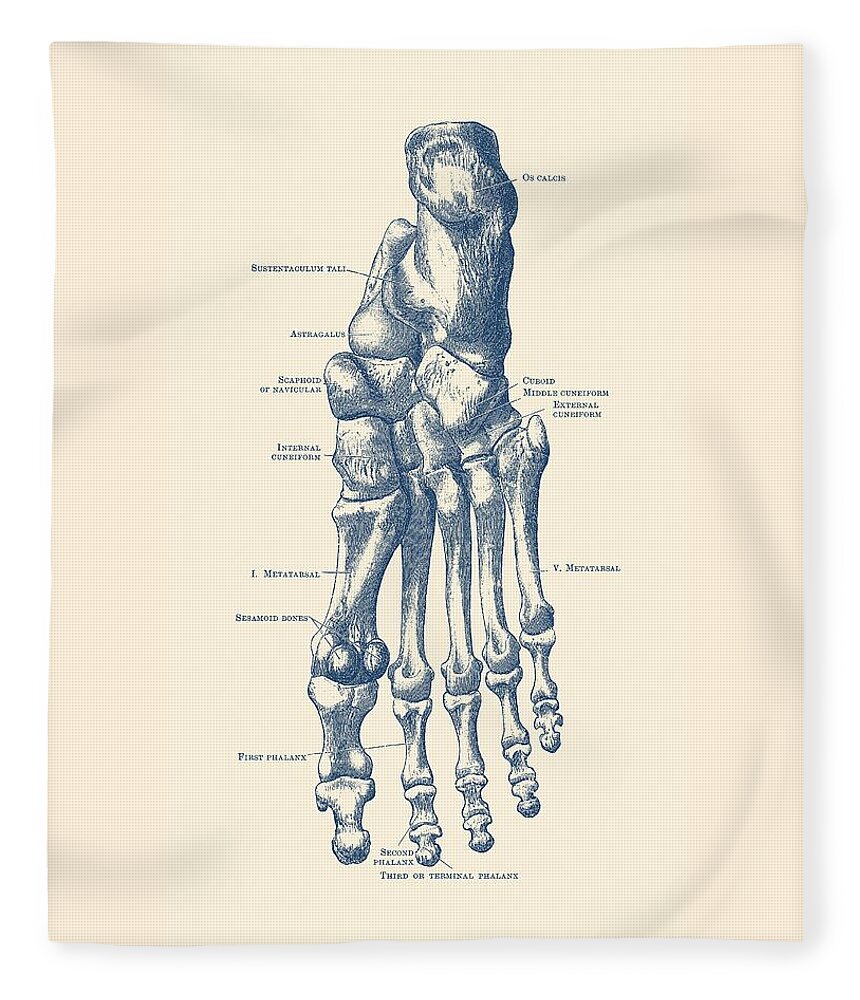 Skeleton Fleece Blanket featuring the drawing Left Foot Skeletal Diagram - Vintage Anatomy Poster by Vintage Anatomy Prints