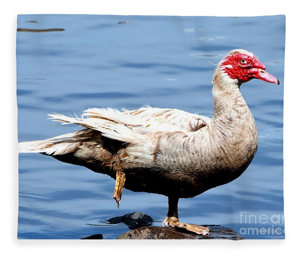Goose Fleece Blanket featuring the photograph Leg Up by Dani McEvoy