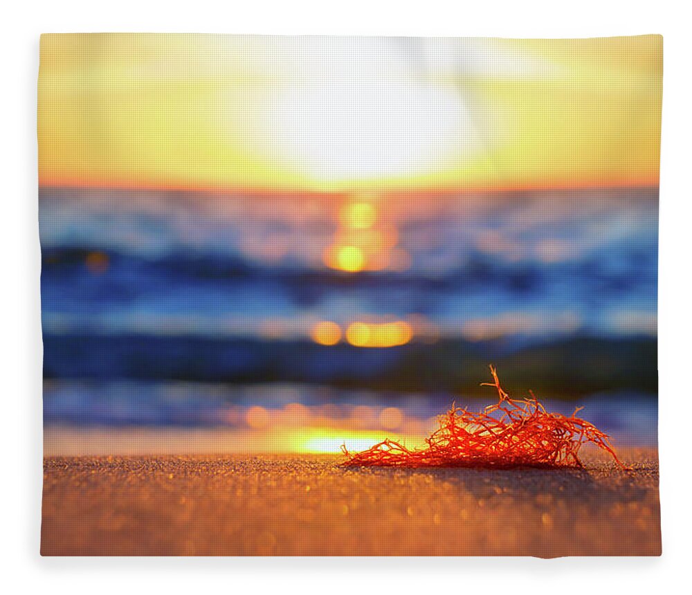 Summer Fleece Blanket featuring the photograph Let The Sunshine In by Iryna Goodall
