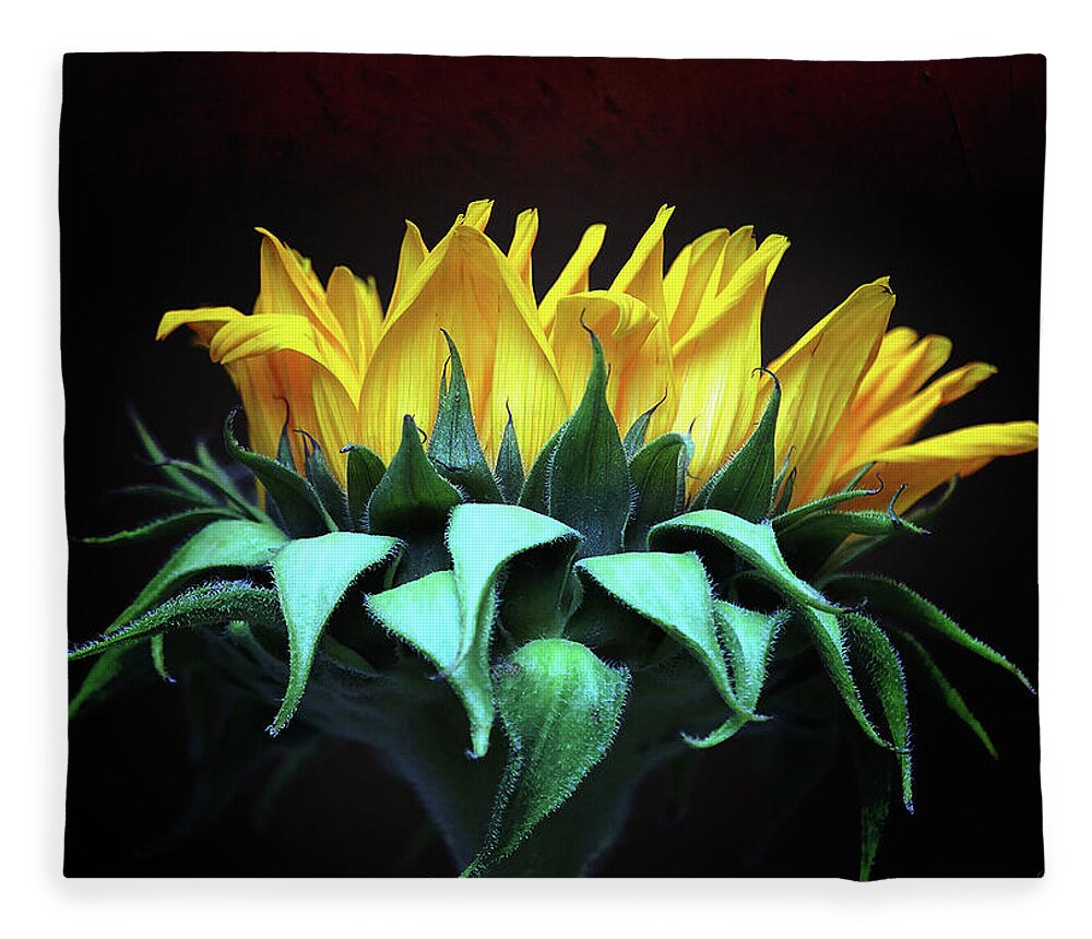 Flower Fleece Blanket featuring the photograph Let the sunshine in by John Rivera