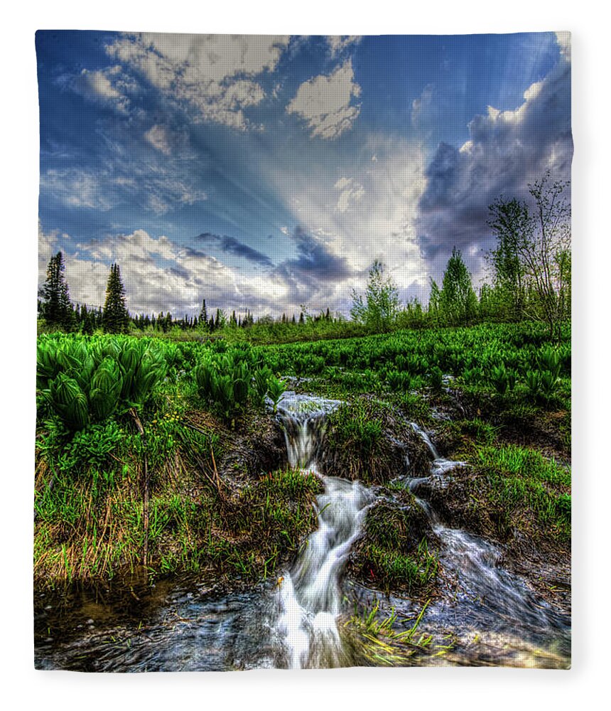 Water Fleece Blanket featuring the photograph Life giving stream by Bryan Carter