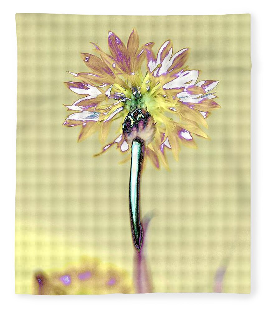Flower Fleece Blanket featuring the photograph Light and Lovely by Dani McEvoy