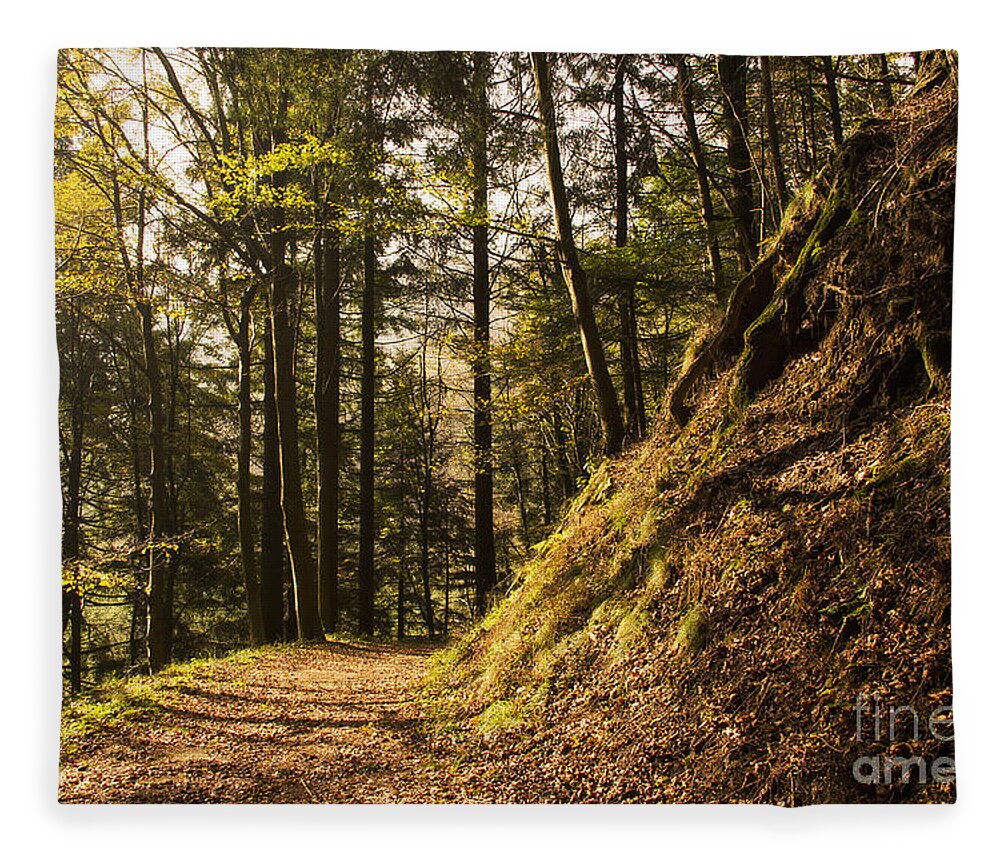 Nature Fleece Blanket featuring the photograph Light In The Woods by Mirko Chianucci