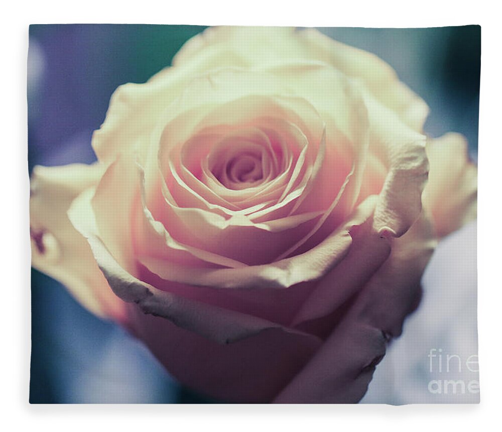 Art Fleece Blanket featuring the photograph Light Pink Head Of A Rose On Blue Background by Amanda Mohler