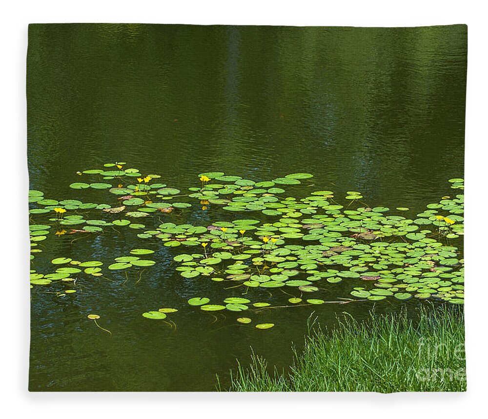 Lilly Pad Fleece Blanket featuring the photograph Liily Pads Afloat by Dale Powell