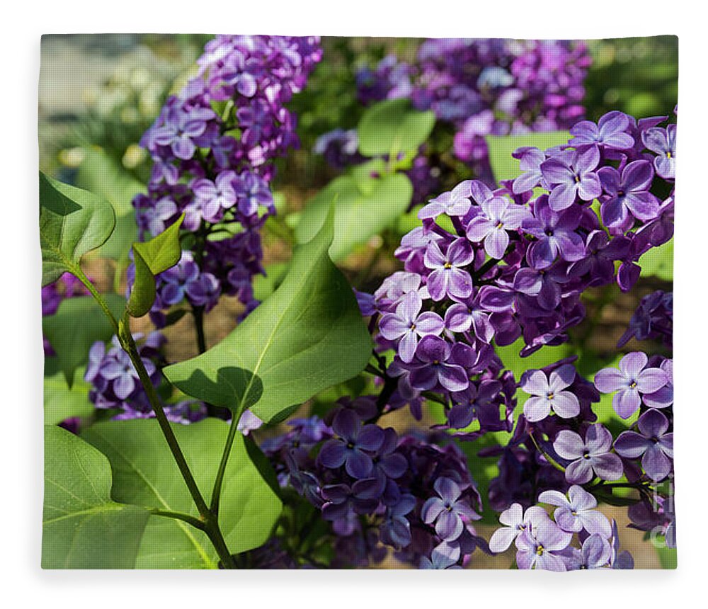 National Arboretum Fleece Blanket featuring the photograph Lilac by Agnes Caruso
