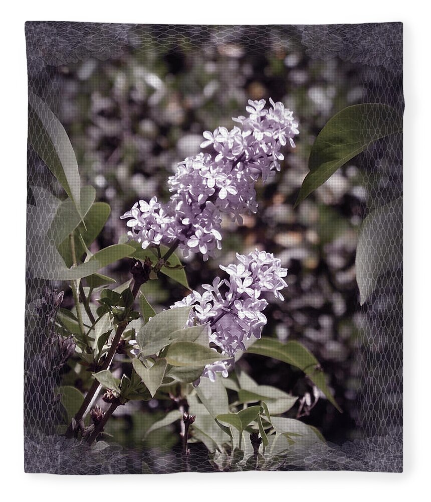 Lilac Fleece Blanket featuring the photograph Lilacs in Lace by Laura Iverson