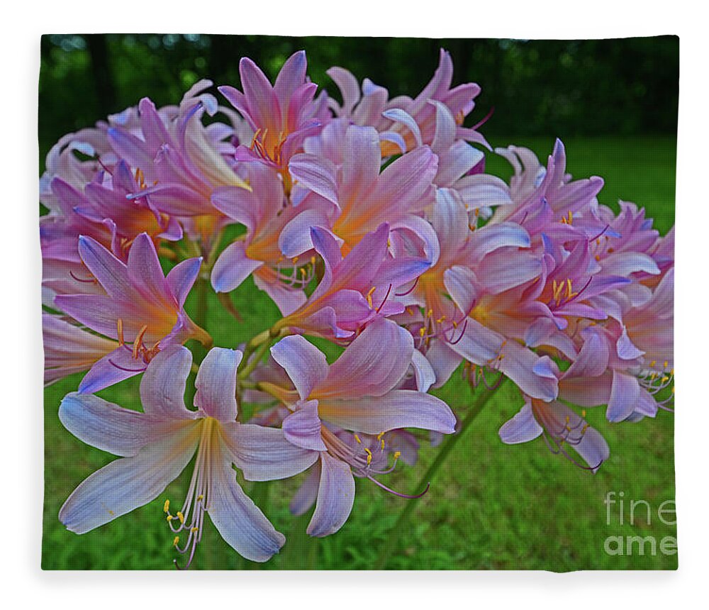 Lily Fleece Blanket featuring the photograph Lily Lavender by George D Gordon III