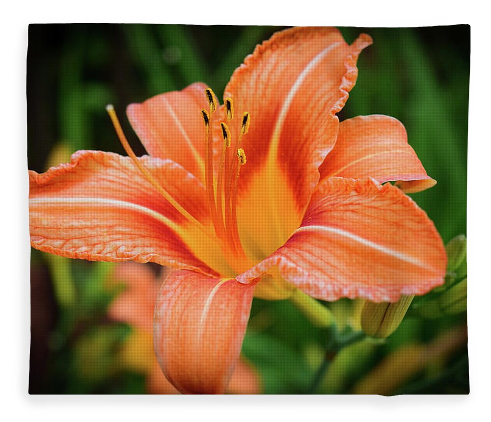 Flower Fleece Blanket featuring the photograph Lily by Nicole Lloyd