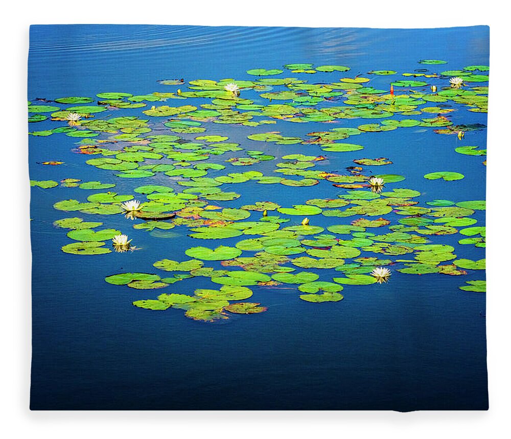 North Port Florida Fleece Blanket featuring the photograph Lily Pads by Tom Singleton