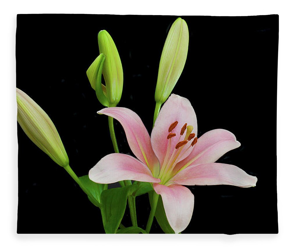 Floral Portraits Fleece Blanket featuring the photograph Lily The Pink by Terence Davis