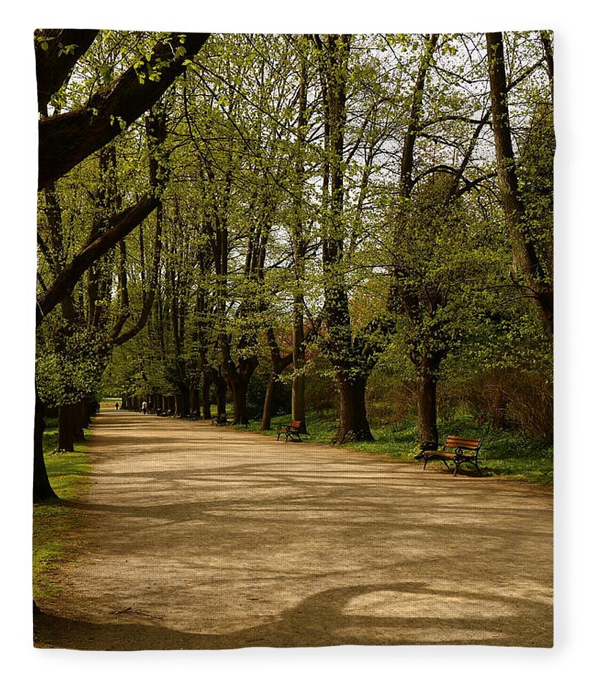 Linden Tree Fleece Blanket featuring the photograph Linden Tree Alley by Christiane Schulze Art And Photography