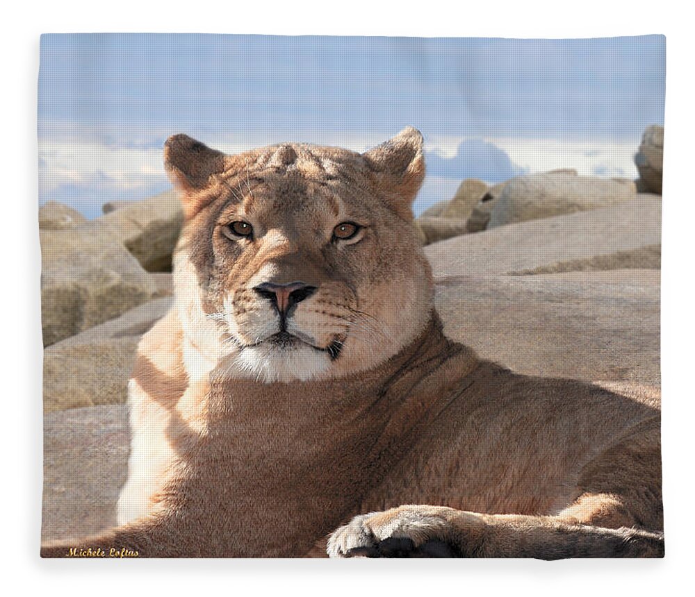 Female Fleece Blanket featuring the photograph Lion by Michele A Loftus