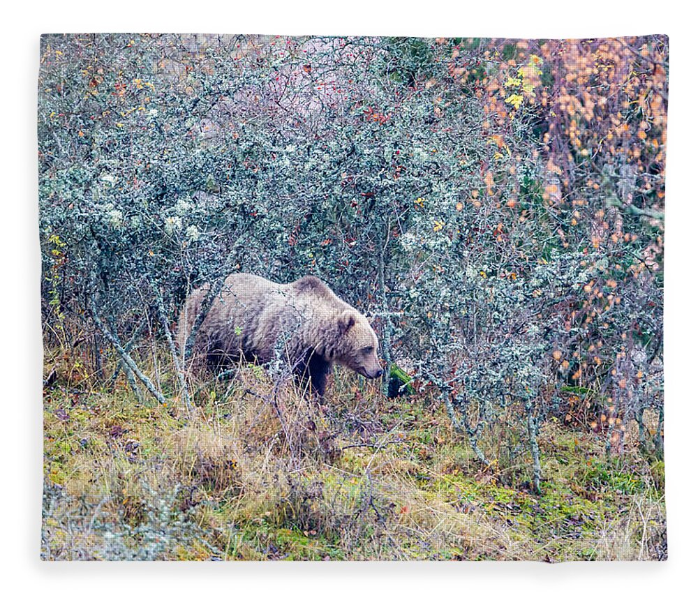 Bear Fleece Blanket featuring the photograph Listening Bear by Torbjorn Swenelius