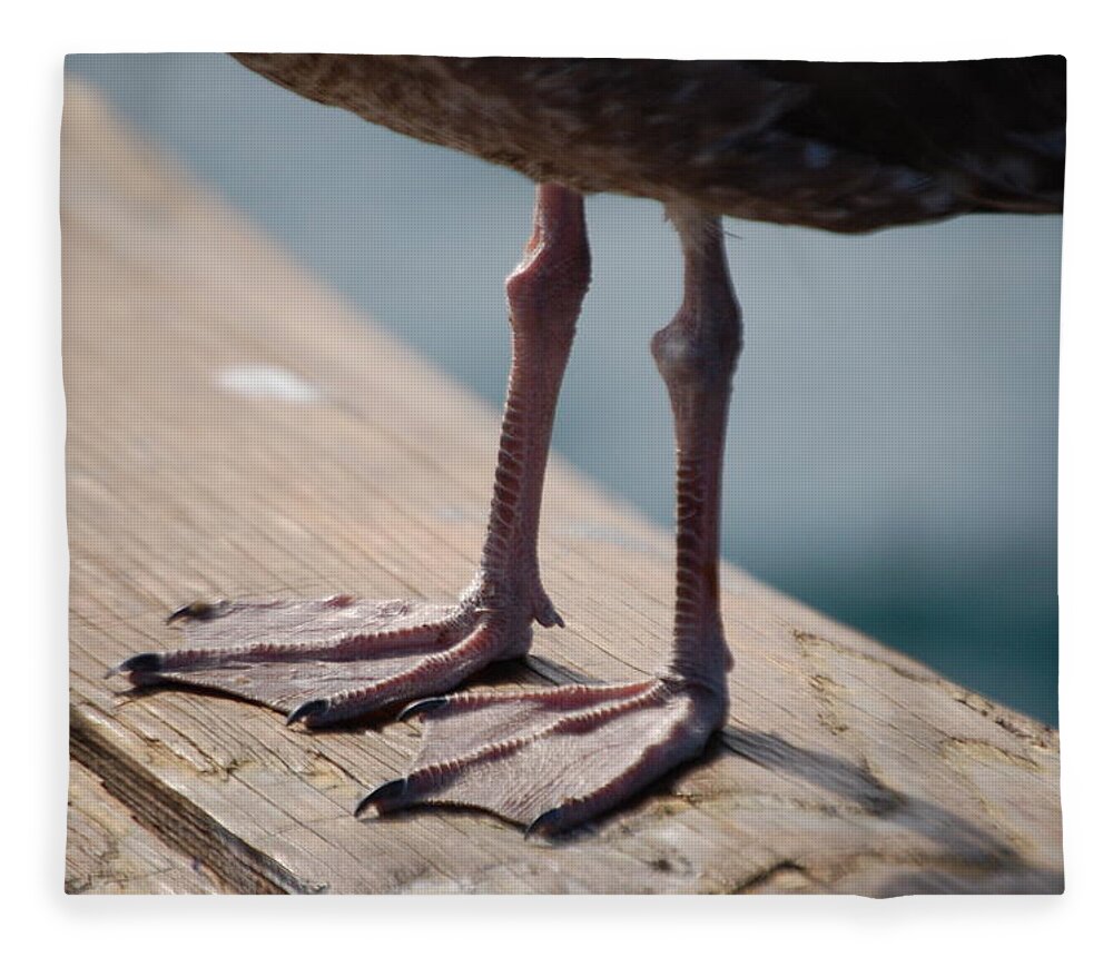 Bird Fleece Blanket featuring the photograph Little Legs by Maria Aduke Alabi