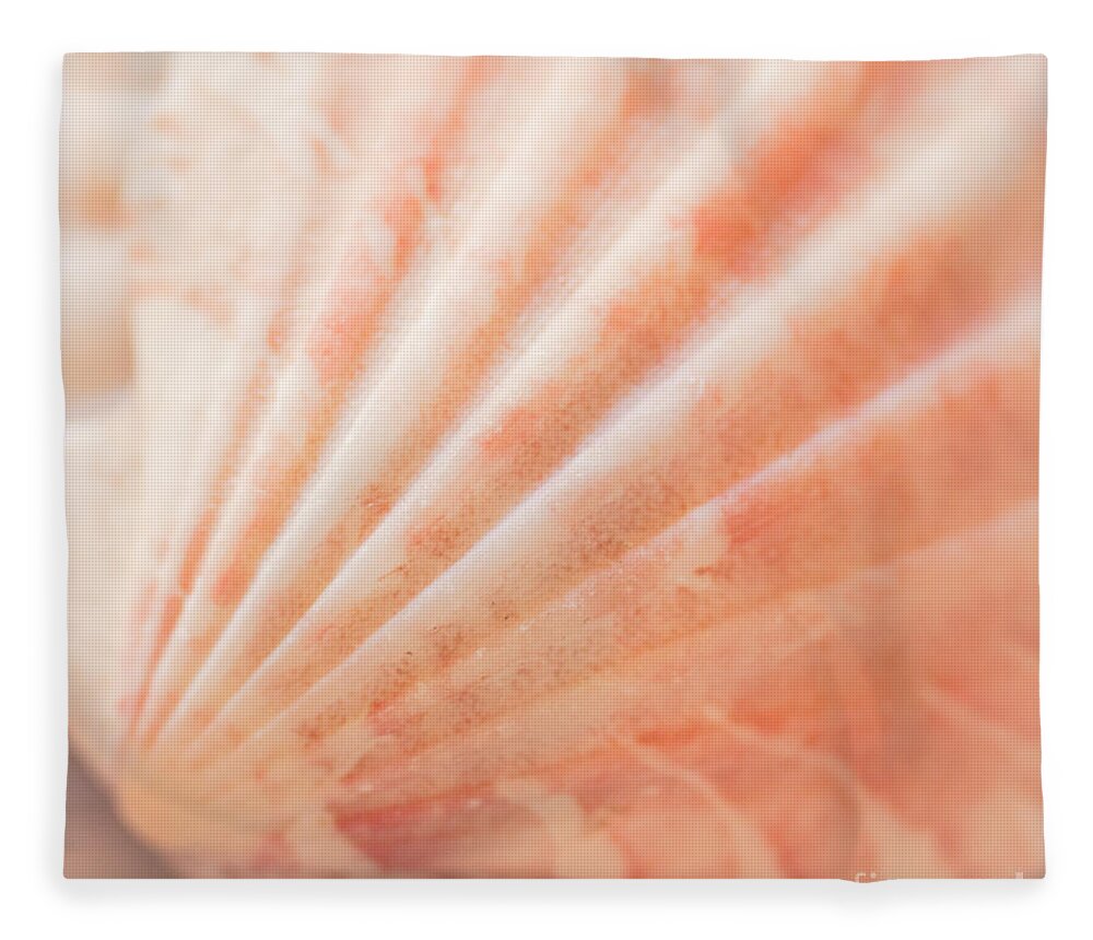 Seashell Fleece Blanket featuring the photograph Little Seashell by Ana V Ramirez