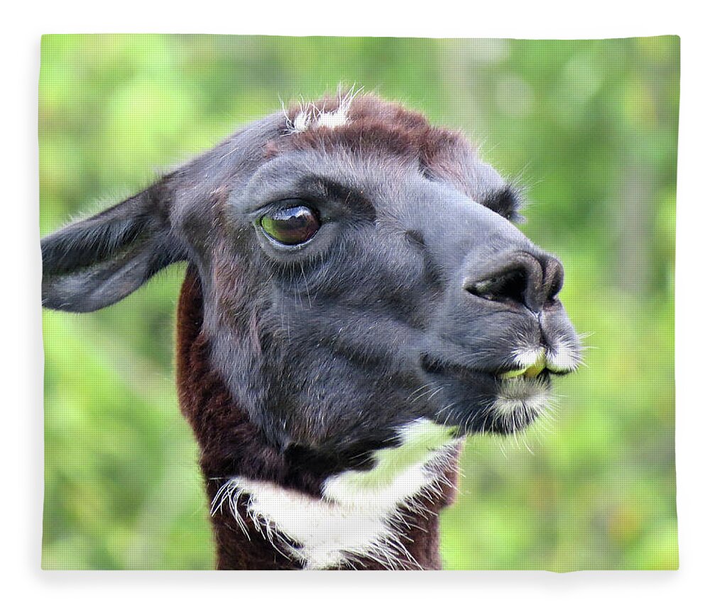 Llama Fleece Blanket featuring the photograph Llama Lips by Linda Stern