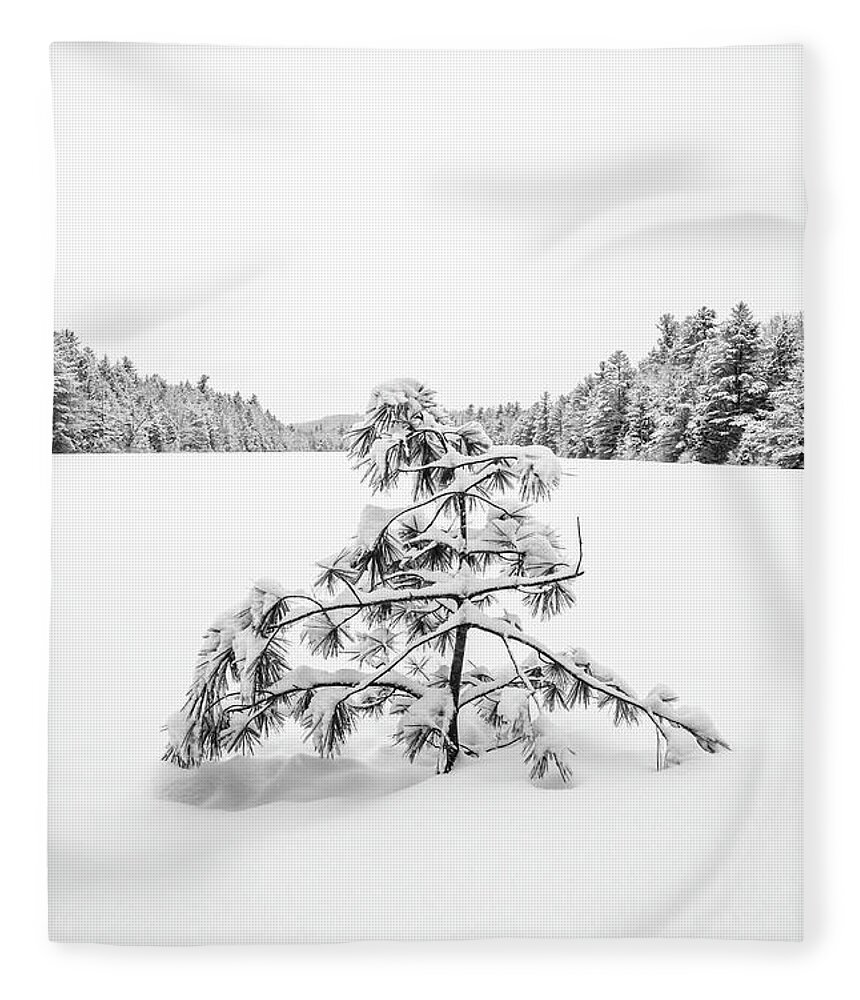 New Hampshire Fleece Blanket featuring the photograph Lone Pine Tree Anderson Pond Eastman New Hampshire by Edward Fielding