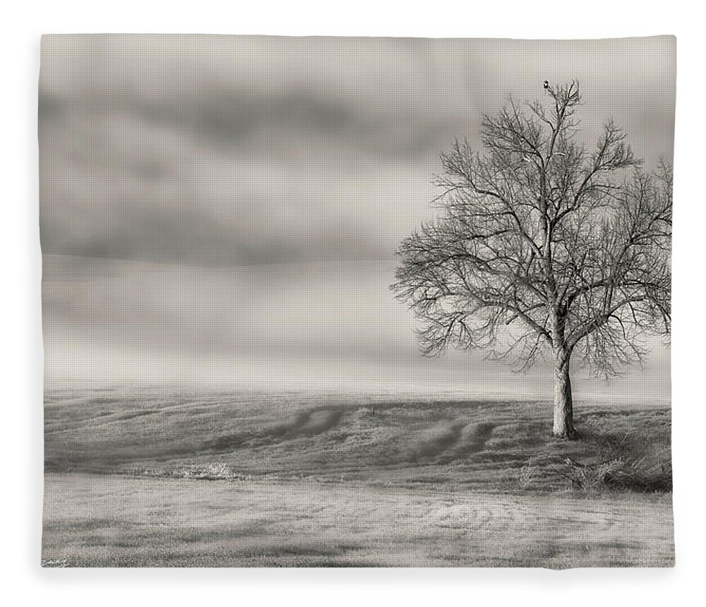 Landscape Fleece Blanket featuring the photograph Lone Tree at the Ojai Summit by John A Rodriguez