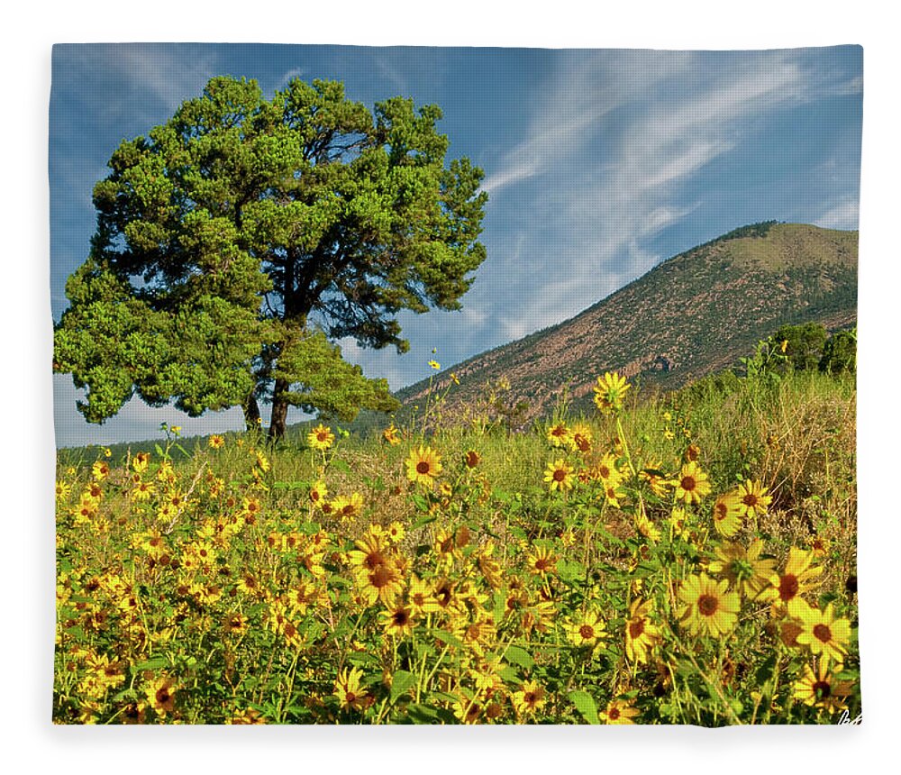 Arizona Fleece Blanket featuring the photograph Lone Tree in a Sunflower Field by Jeff Goulden