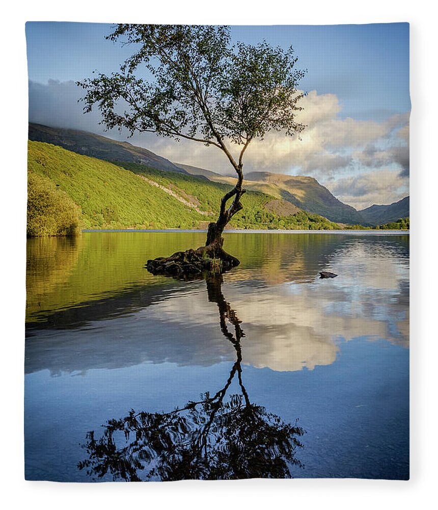Gwynedd Fleece Blanket featuring the photograph Lone Tree, Llyn Padarn by Peter OReilly
