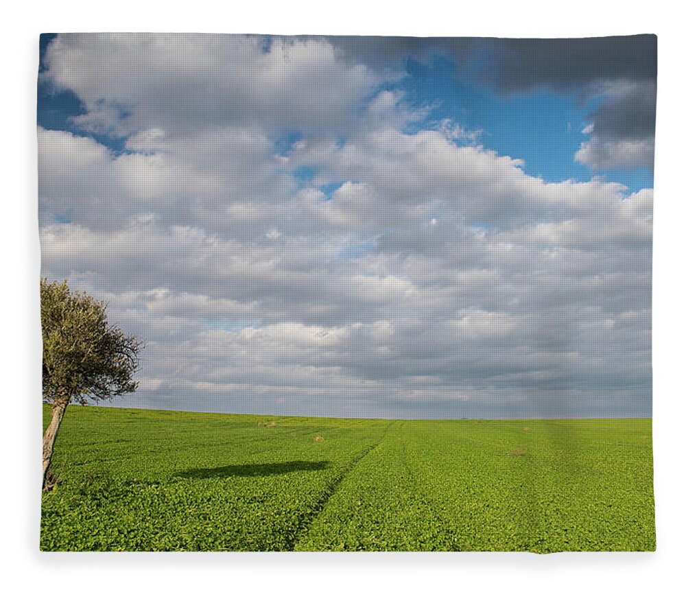 Olive Tree Fleece Blanket featuring the photograph Lonely Olive tree in a green field and moving clouds by Michalakis Ppalis